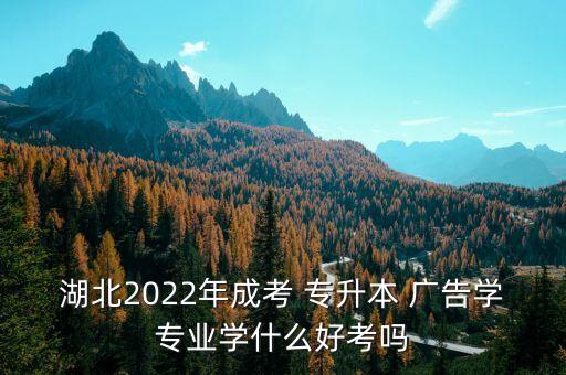 湖北2022年成考 專升本 廣告學專業(yè)學什么好考嗎