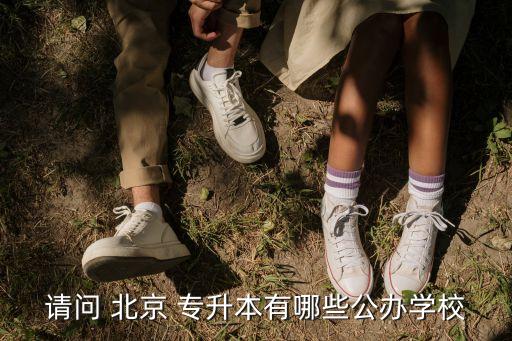 請問 北京 專升本有哪些公辦學(xué)校