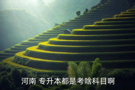 河南工科專升本考什么,河南專升本會計專業(yè)考什么
