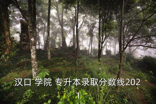 武漢學(xué)院專升本成績