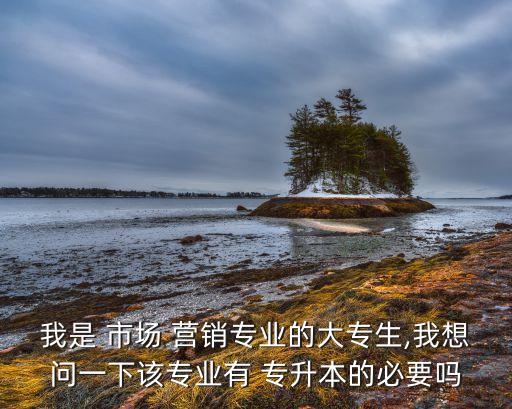 我是 市場(chǎng) 營(yíng)銷專業(yè)的大專生,我想問(wèn)一下該專業(yè)有 專升本的必要嗎