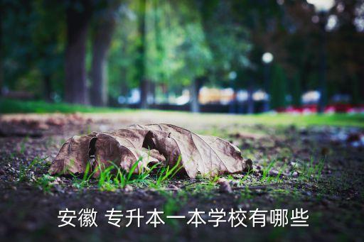  安徽 專升本一本學校有哪些