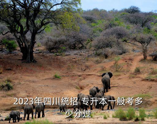 2023年四川統(tǒng)招 專升本一般考多少分過(guò)