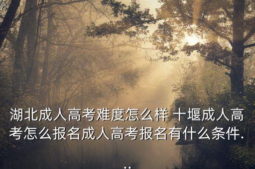 十堰專升本成績(jī)查詢,2022年山東專升本成績(jī)查詢時(shí)間