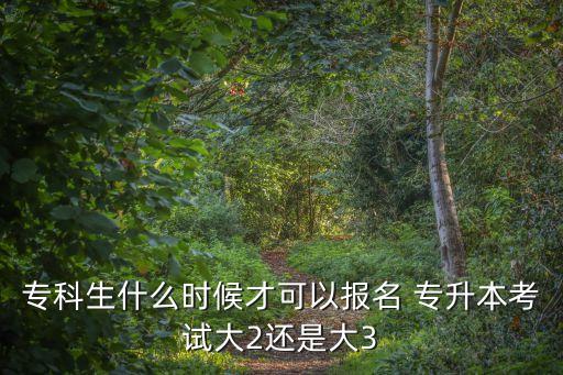 ?？粕裁磿r候才可以報名 專升本考試大2還是大3