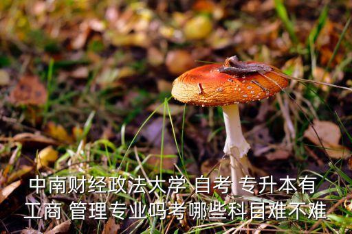 中南財經(jīng)政法大學(xué) 自考 專升本有 工商 管理專業(yè)嗎考哪些科目難不難