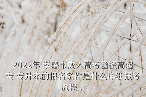 2022年 孝感市成人高考函授高起專 專升本的報(bào)名條件是什么詳細(xì)報(bào)考流程...
