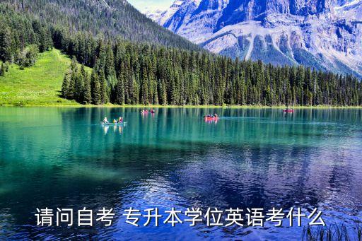 請問自考 專升本學位英語考什么