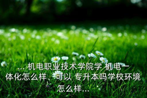 ... 機(jī)電職業(yè)技術(shù)學(xué)院學(xué) 機(jī)電一體化怎么樣、可以 專升本嗎學(xué)校環(huán)境怎么樣...