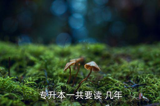  專(zhuān)升本一共要讀 幾年