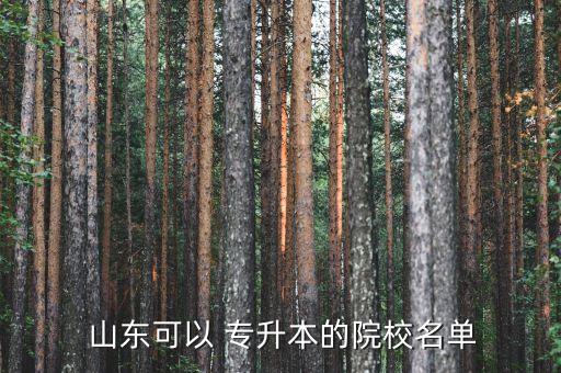 山東財經(jīng)大學(xué)招專升本嗎