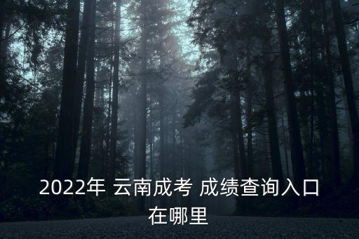 云南專升本考試成績(jī)?cè)谀牟榭? /></a><a href=