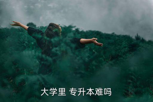 大學(xué)里 專升本難嗎
