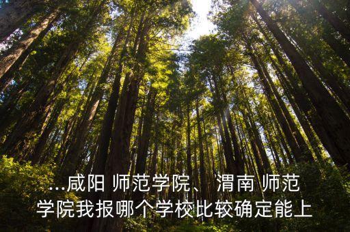 ...咸陽(yáng) 師范學(xué)院、 渭南 師范學(xué)院我報(bào)哪個(gè)學(xué)校比較確定能上