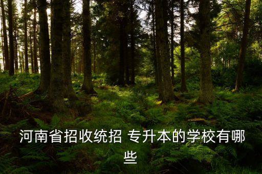  河南省招收統(tǒng)招 專升本的學校有哪些