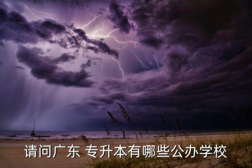請(qǐng)問(wèn)廣東 專(zhuān)升本有哪些公辦學(xué)校