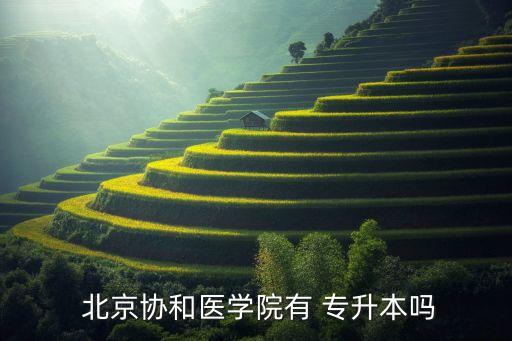 北京專升本機構(gòu)公司