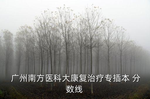  廣州南方醫(yī)科大康復治療專插本 分數(shù)線