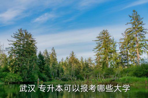  武漢 專升本可以報(bào)考哪些大學(xué)