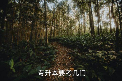 專升本一般考多少門(mén)課程,江西專升本每門(mén)多少分