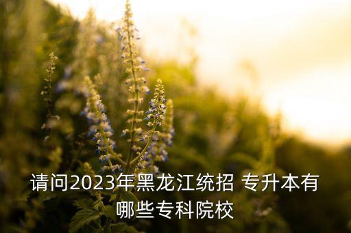 請(qǐng)問(wèn)2023年黑龍江統(tǒng)招 專升本有哪些?？圃盒? class=