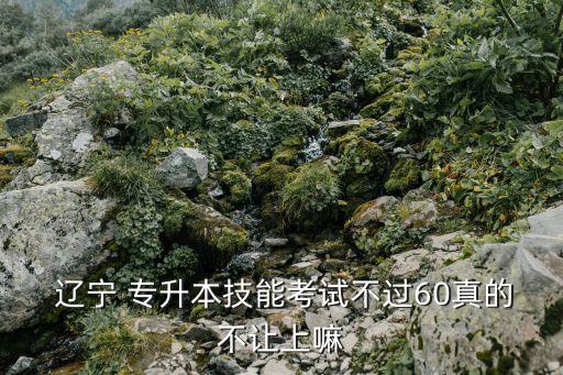  遼寧 專升本技能考試不過(guò)60真的不讓上嘛