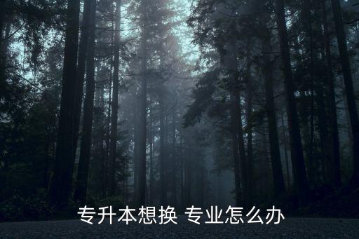 電子商務(wù)專(zhuān)升本轉(zhuǎn)專(zhuān)業(yè)