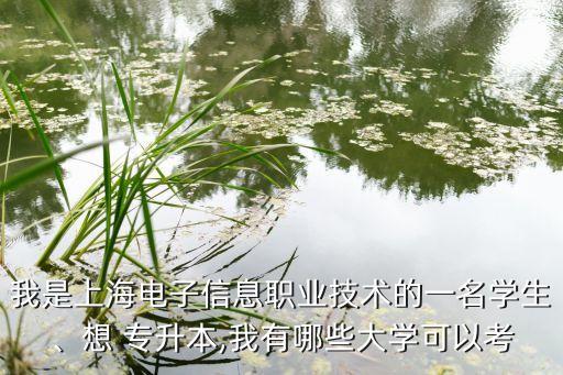 我是上海電子信息職業(yè)技術(shù)的一名學(xué)生、想 專升本,我有哪些大學(xué)可以考