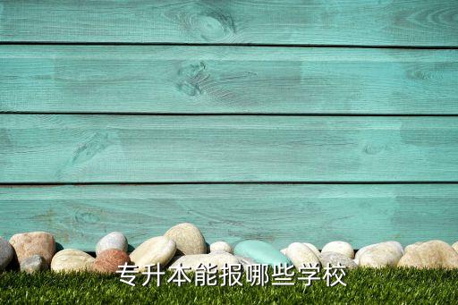  專升本能報哪些學(xué)校