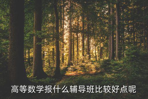 高等數(shù)學(xué)報什么輔導(dǎo)班比較好點呢