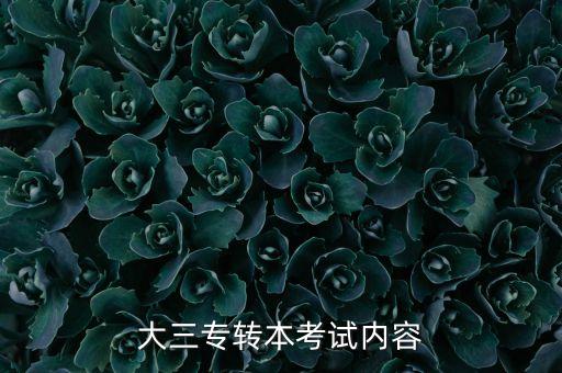 大三專轉本考試內容