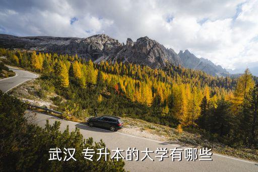 湖北武漢2017專升本,2017年專升本數學真題及答案