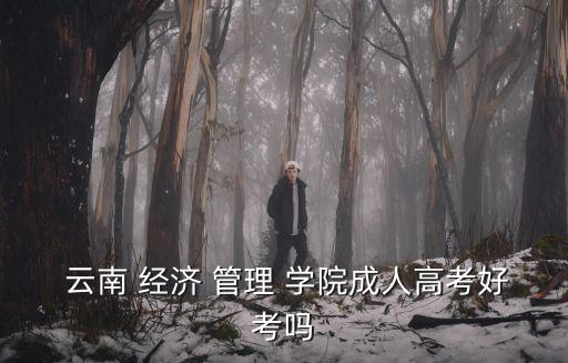  云南 經濟 管理 學院成人高考好考嗎