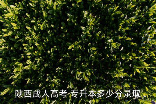 陜學前專升本分數(shù)線,陜西學前師范專升本分數(shù)線2022