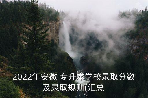 2022年安徽 專升本學(xué)校錄取分數(shù)及錄取規(guī)則(匯總