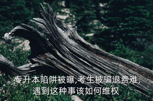 赴臺專升本 新浪