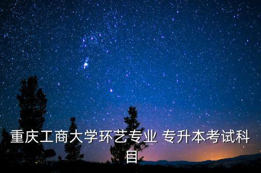 重慶工商大學環(huán)藝專業(yè) 專升本考試科目