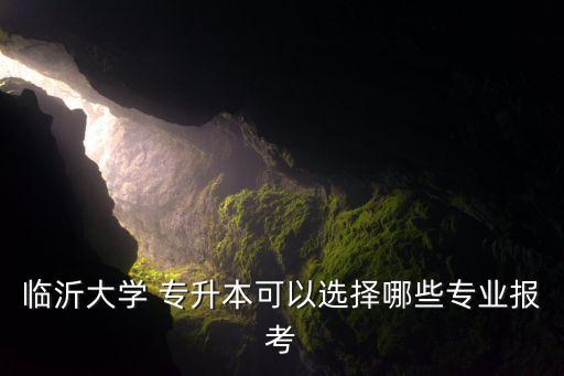 臨沂大學 專升本可以選擇哪些專業(yè)報考
