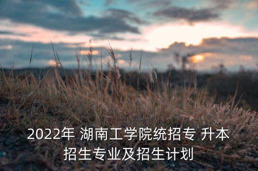 2022年 湖南工學(xué)院統(tǒng)招專 升本招生專業(yè)及招生計劃