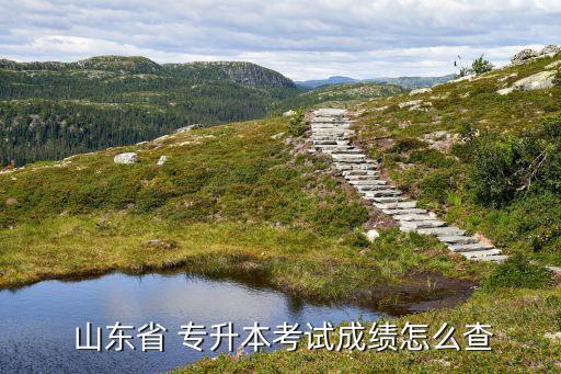 山東省專升本會計分數(shù)查詢,山東專升本會計專業(yè)能跨考什么專業(yè)