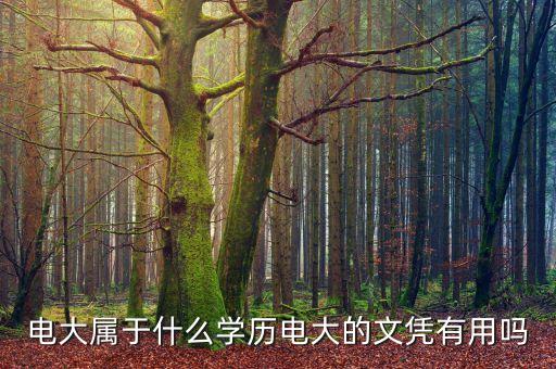 電大屬于什么學(xué)歷電大的文憑有用嗎