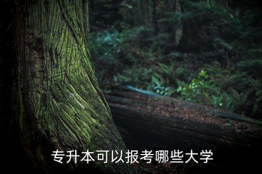  專升本可以報(bào)考哪些大學(xué)