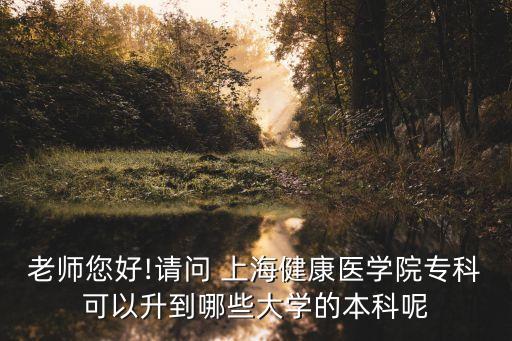 老師您好!請問 上海健康醫(yī)學(xué)院?？瓶梢陨侥男┐髮W(xué)的本科呢