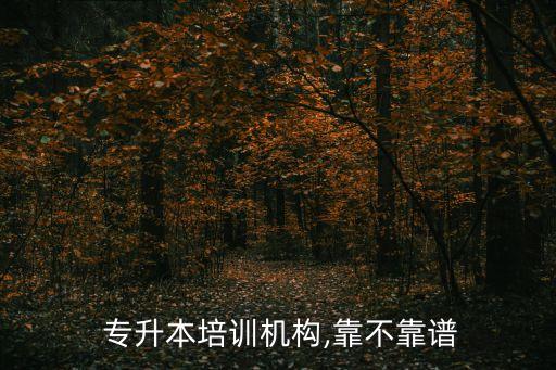  專升本培訓(xùn)機(jī)構(gòu),靠不靠譜