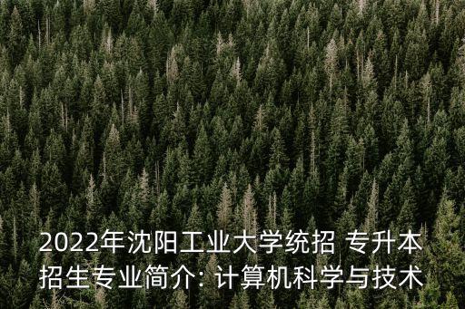 2022年沈陽工業(yè)大學(xué)統(tǒng)招 專升本招生專業(yè)簡介: 計算機科學(xué)與技術(shù)