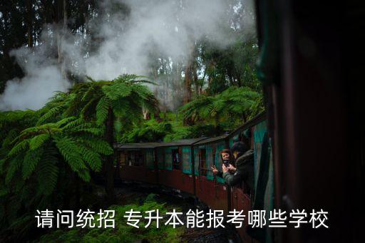 請問統(tǒng)招 專升本能報考哪些學(xué)校