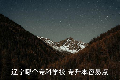 遼寧哪個(gè)專(zhuān)科學(xué)校 專(zhuān)升本容易點(diǎn)