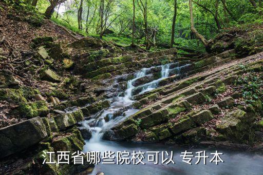 江西理工大學(xué)招專(zhuān)升本嗎
