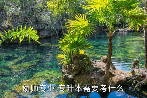幼師專(zhuān)業(yè) 專(zhuān)升本需要考什么