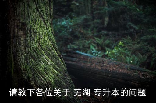 請教下各位關(guān)于 蕪湖 專升本的問題